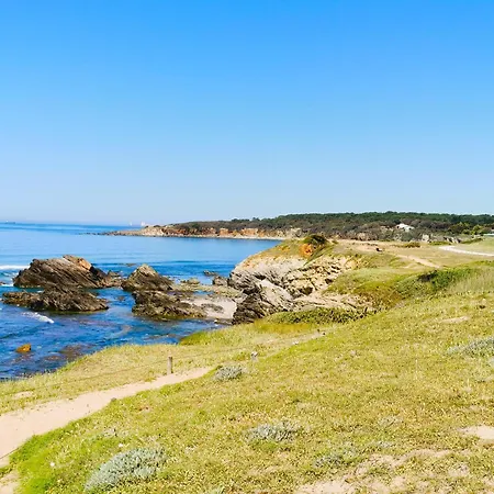 Le Grand Panoramique - Face