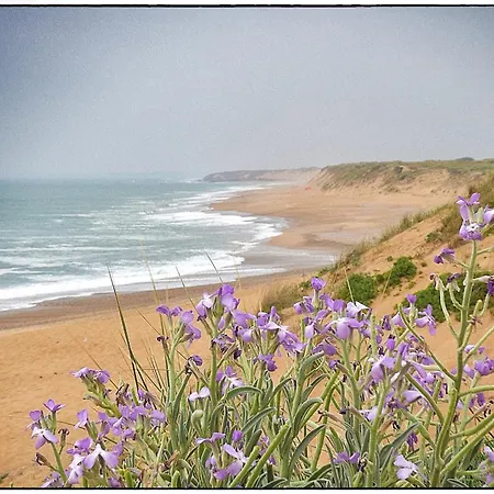 Le Grand Panoramique - Face Les Sables-dʼOlonne