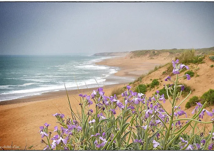 Le Grand Panoramique - Face Les Sables-dʼOlonne
